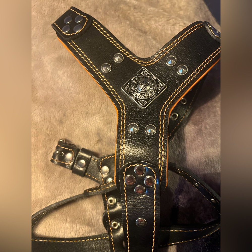 Custom Leather Dog Harness and Leash set